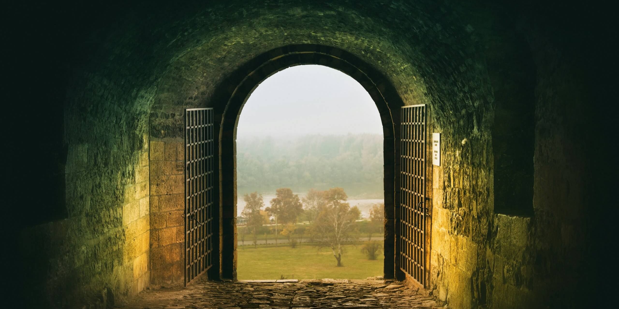 nikola-knezevic-Q3JcLtECTtE-unsplash