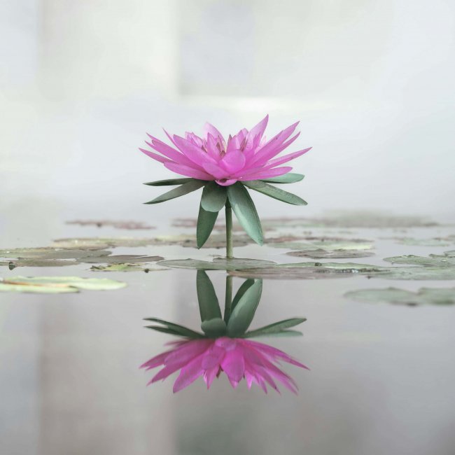 connor-gan-c32zRgmern8-unsplash