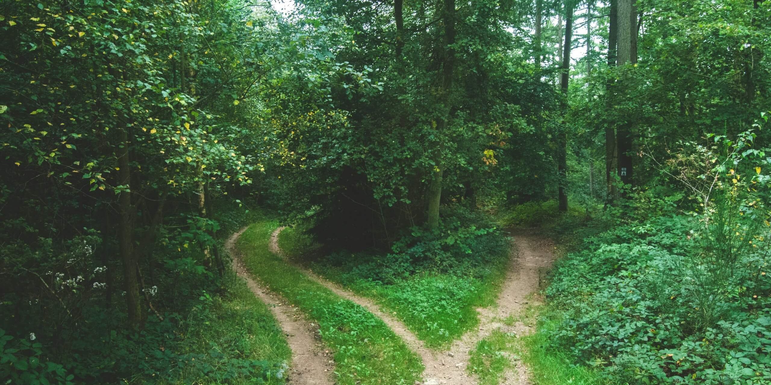 jens-lelie-u0vgcIOQG08-unsplash