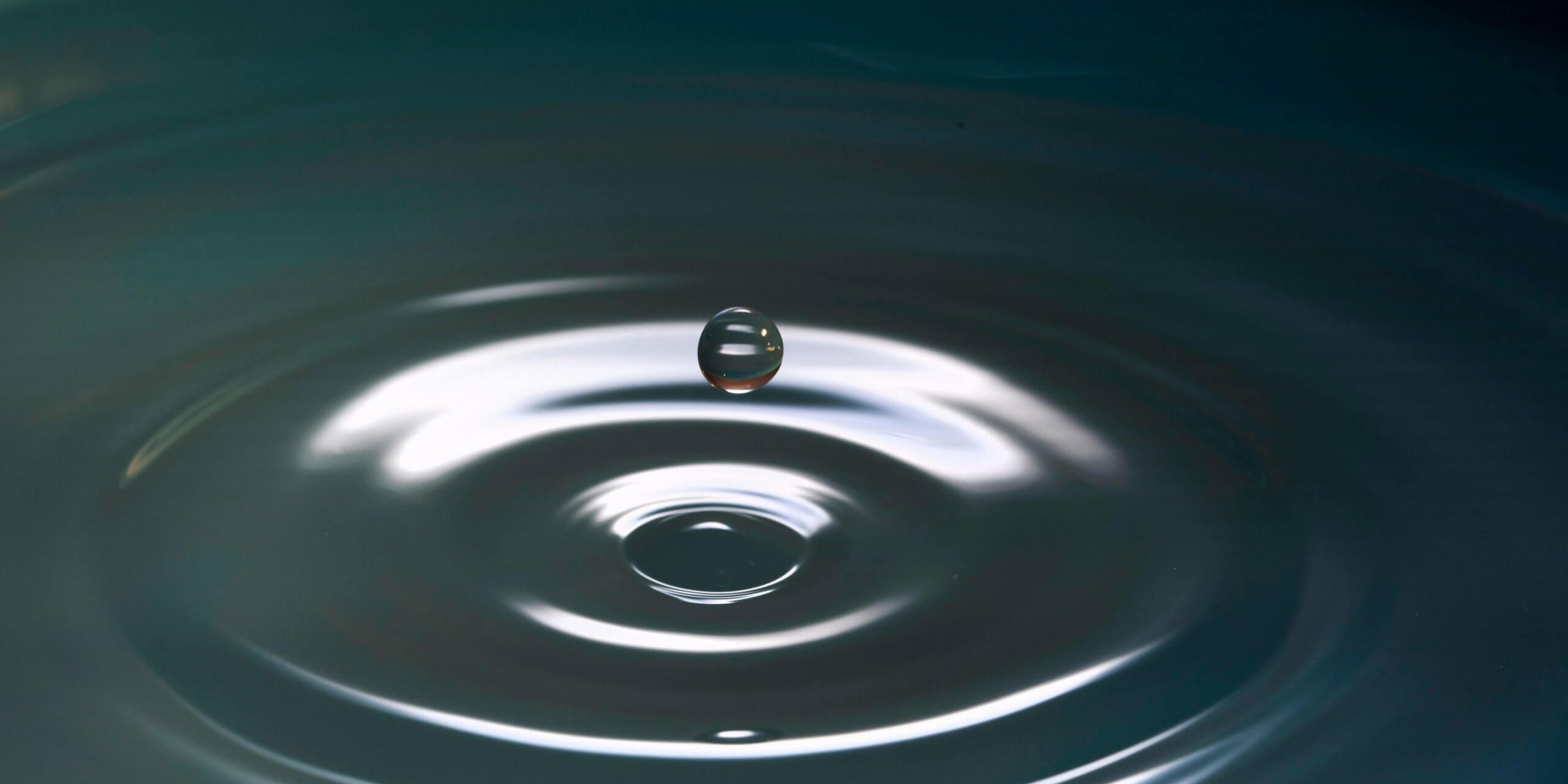 levi-xu-dOhJtfXJZfw-unsplash
