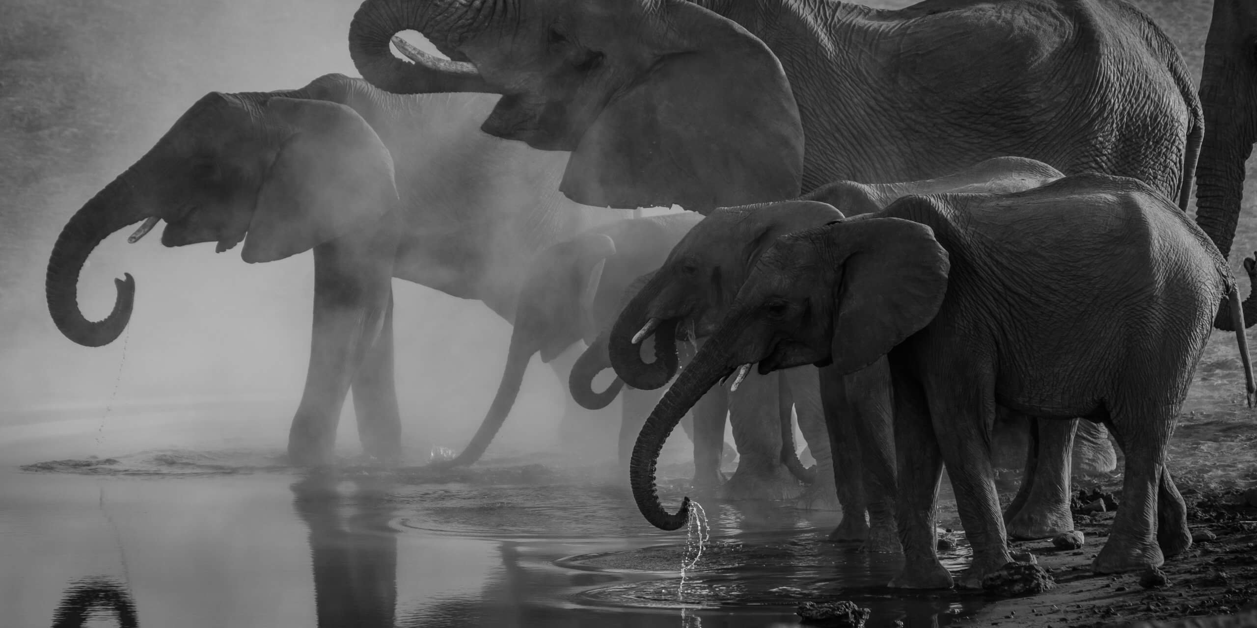 richard-jacobs-8oenpCXktqQ-unsplash